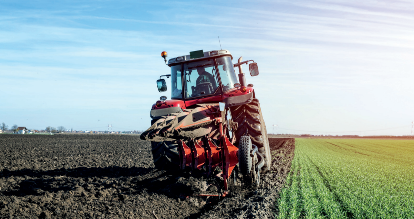 Campagne agricole 2026/2027 : optimisme mesuré dans le monde rural,  les fellahs espèrent une année pluvieuse